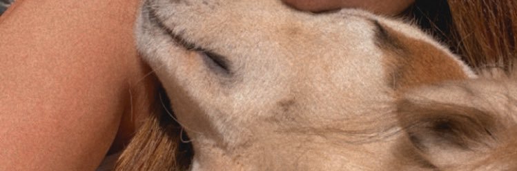 _flaleitte's profile banner image