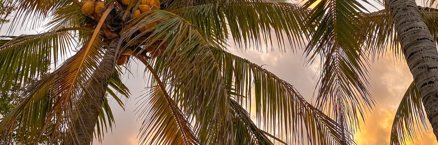 madisoncookk_'s profile banner image