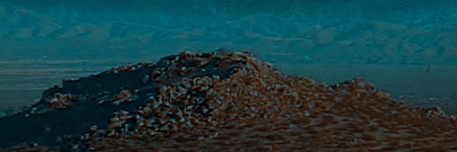 eddArambula's profile banner image
