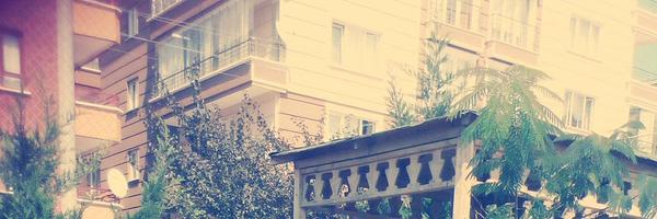 seems Profile Banner