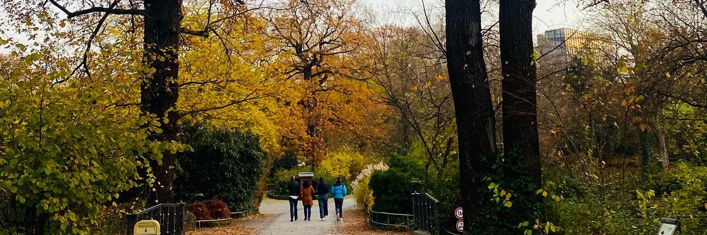 Cynthia Michel banner