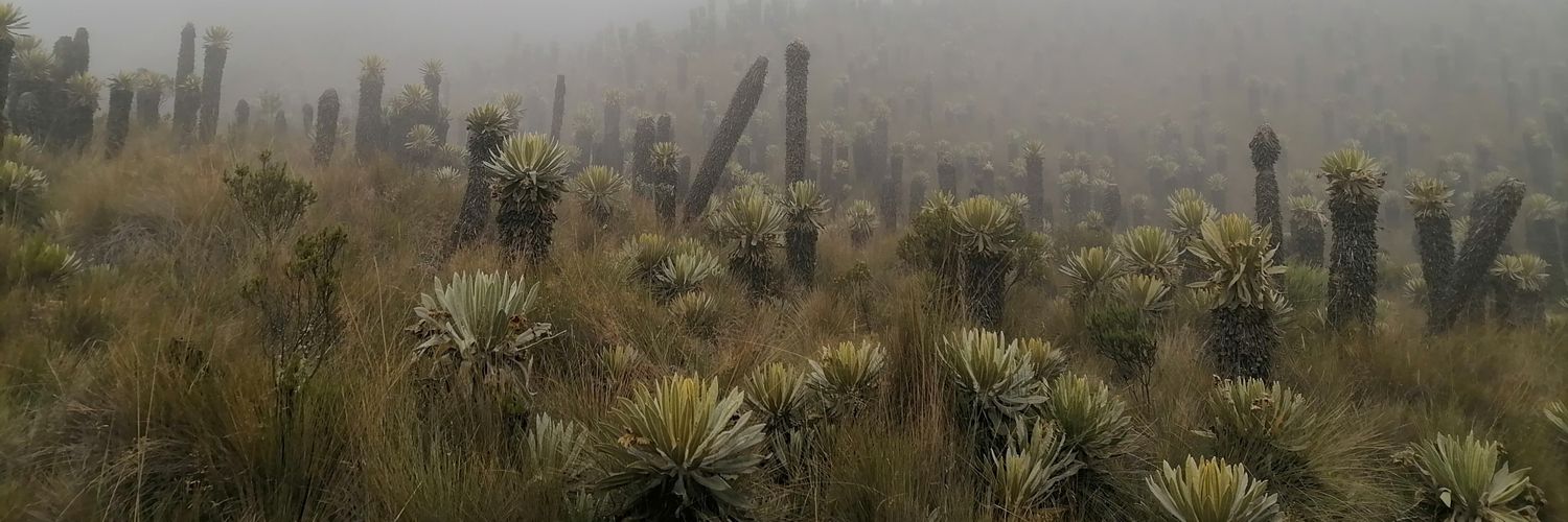 MariaPaula_52's profile banner image