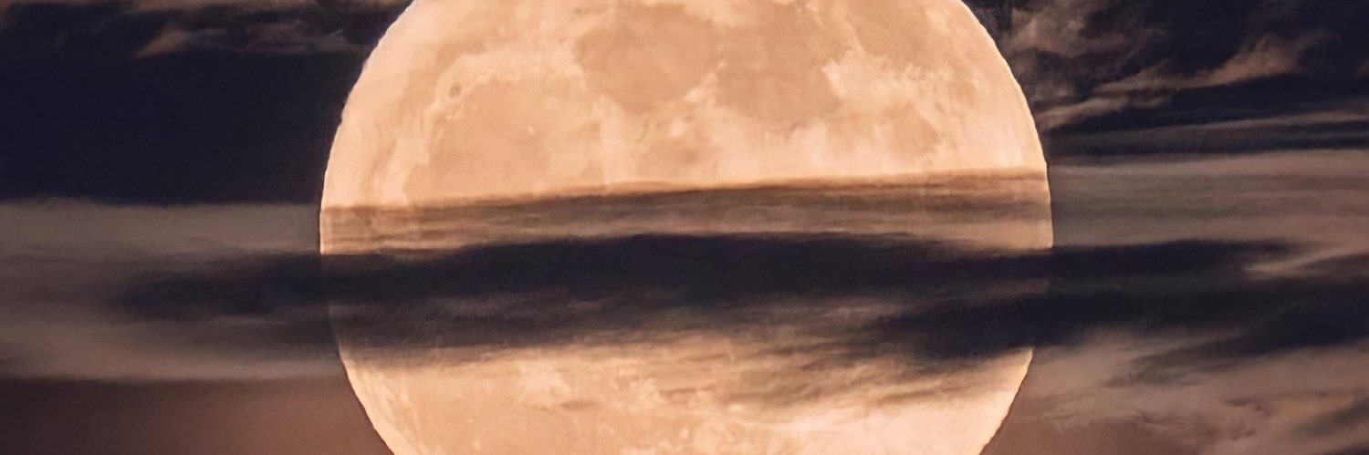 LuanaRodrygues2's profile banner image