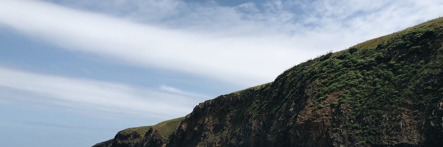 dichacho's profile banner image