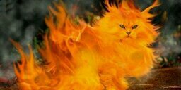 eskanoes's profile banner image