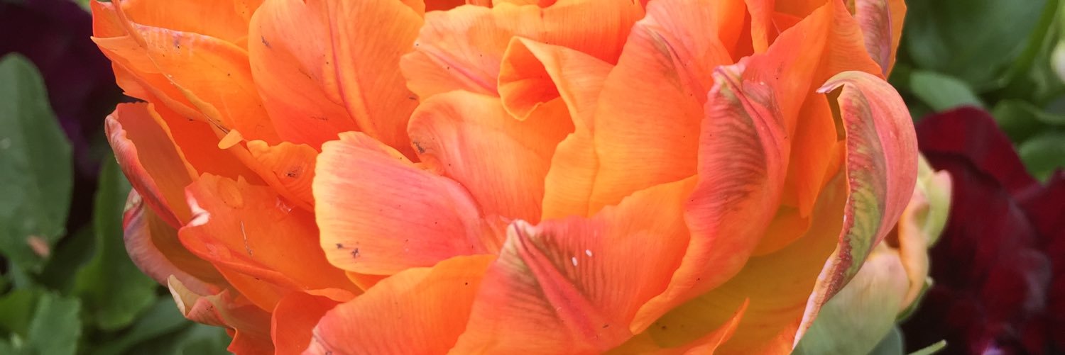 Hlanah's profile banner image