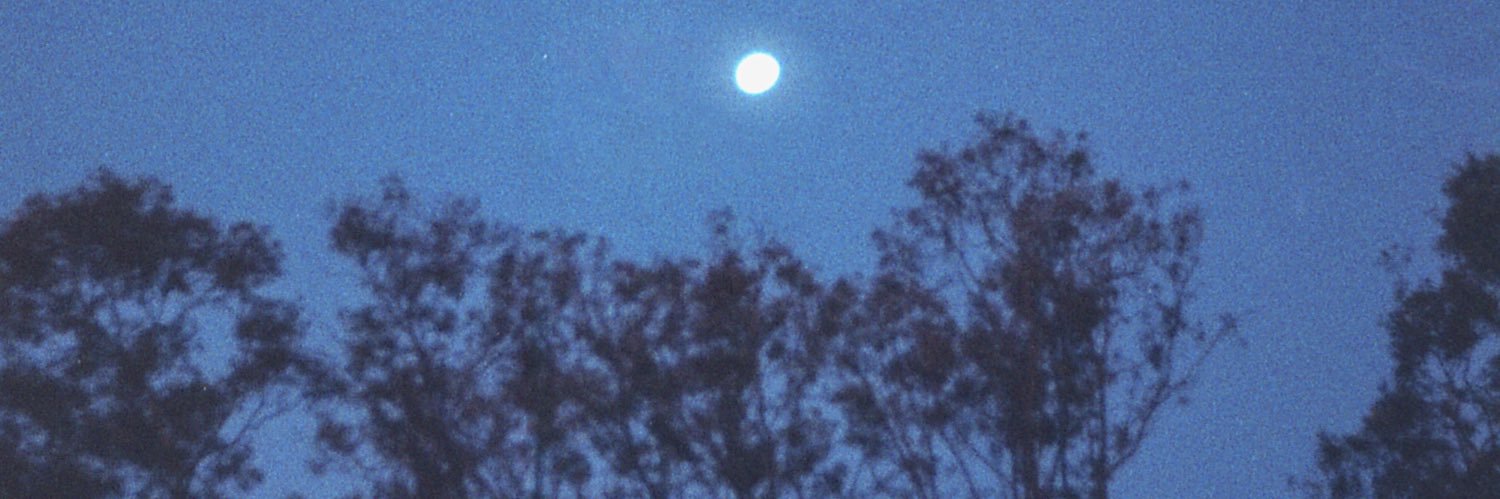 hiarsnick's profile banner image