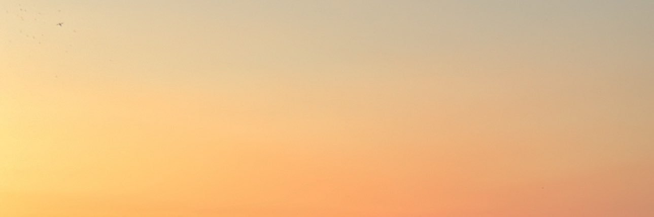 yjocelynn's profile banner image