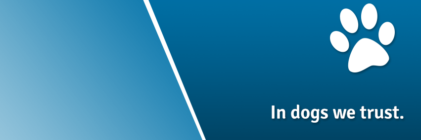 DogTrainNation's profile banner image