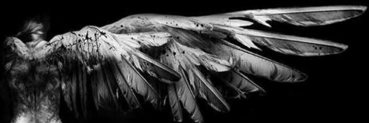 Angelomon6's profile banner image