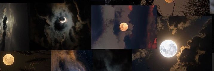 roooose45's profile banner image