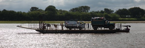 Dafernicola Profile Banner