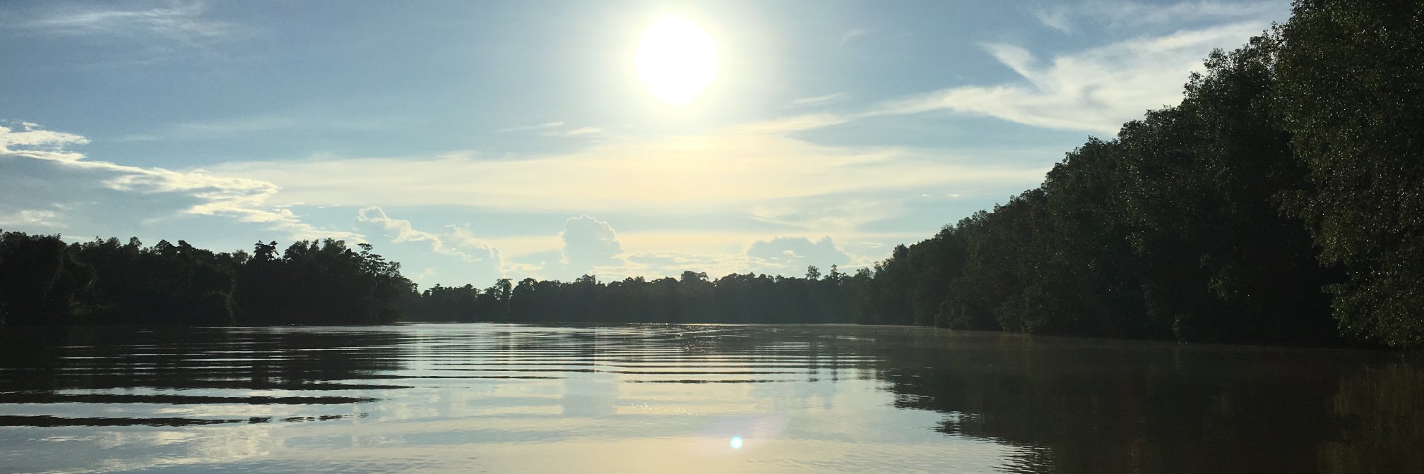 Antoinette Mills banner