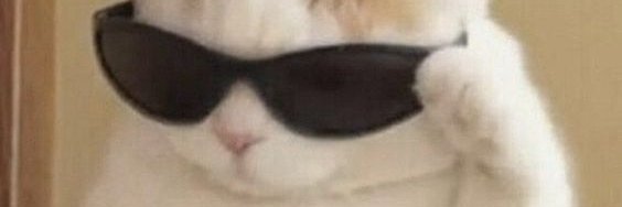 analeitx's profile banner image