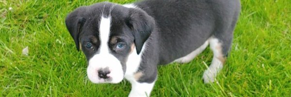 _Cydddddd Profile Banner