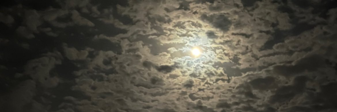abueidd0's profile banner image