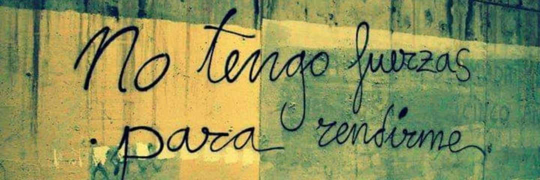 SERCHPEREIRA's profile banner image