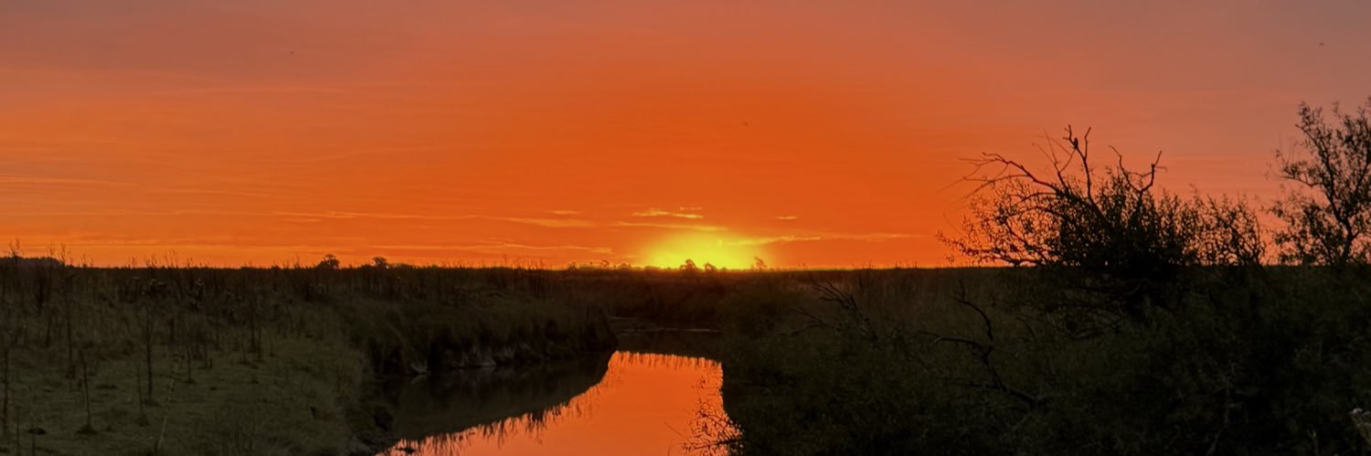 MalenaCho11's profile banner image