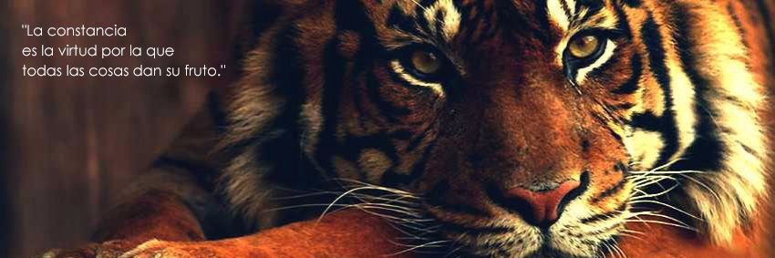 Jclunav's profile banner image