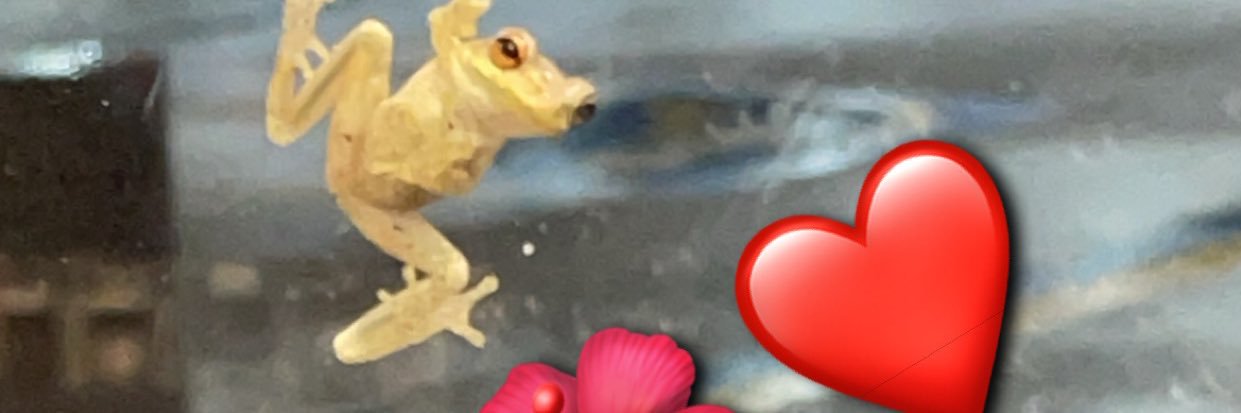 įnternational 🌎Şweet 🍬🍫 banner