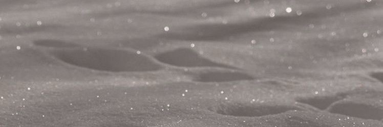 elleboogs's profile banner image