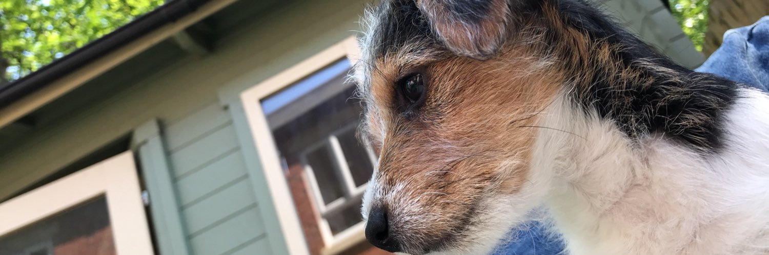 willwhitehouse's profile banner image