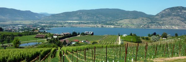 bodmanza Profile Banner