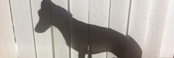 missvivianwc Profile Banner