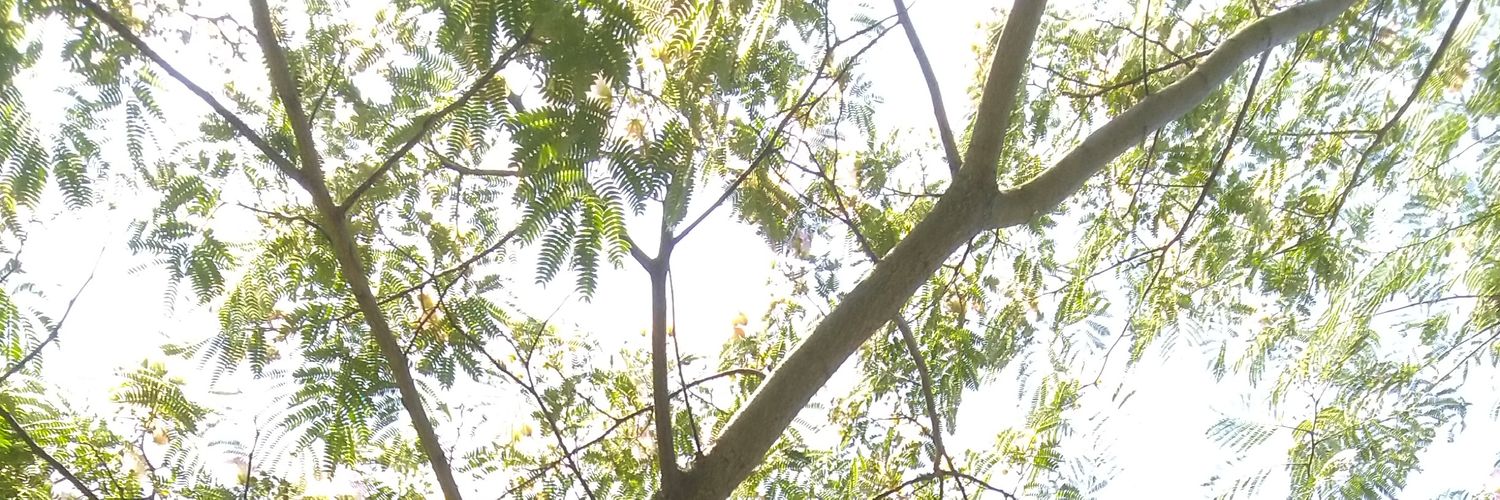 man616161's profile banner image