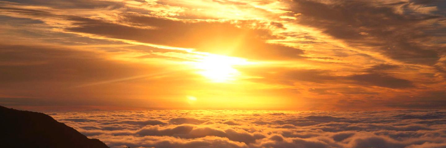 MarkPinnes's profile banner image