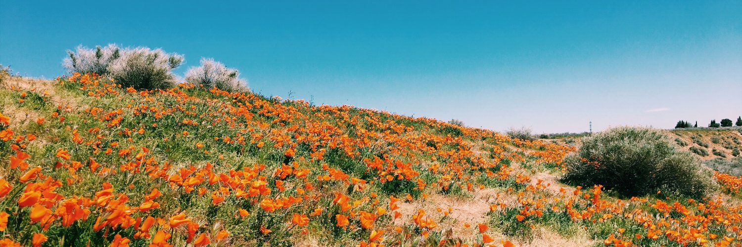 chantalerenee's profile banner image