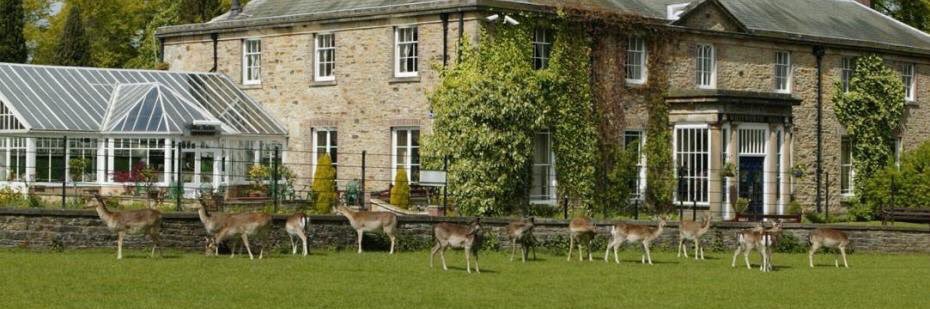 WhitworthHall's profile banner image