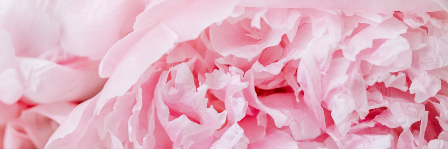 dejamonetg's profile banner image