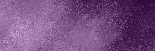 Data Virtual 🐱 banner