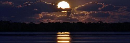 . banner