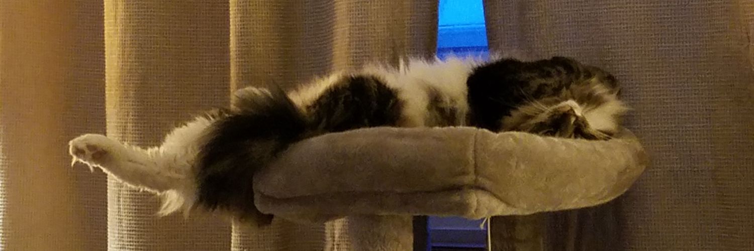 zander banner