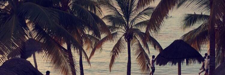 mgrot11's profile banner image