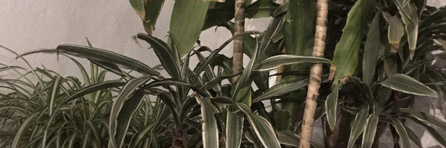 loonyloe's profile banner image