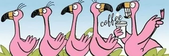 LilliVasco's profile banner image