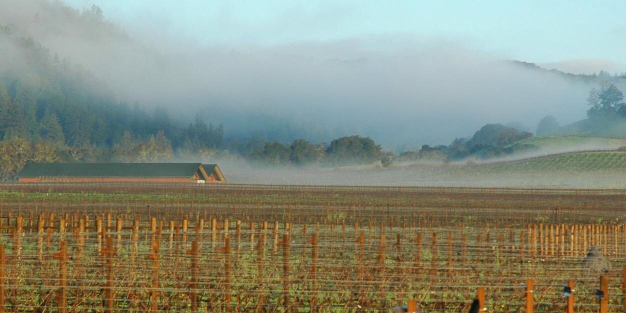 Hendry Winery banner