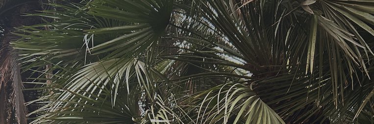 tessaoooo's profile banner image