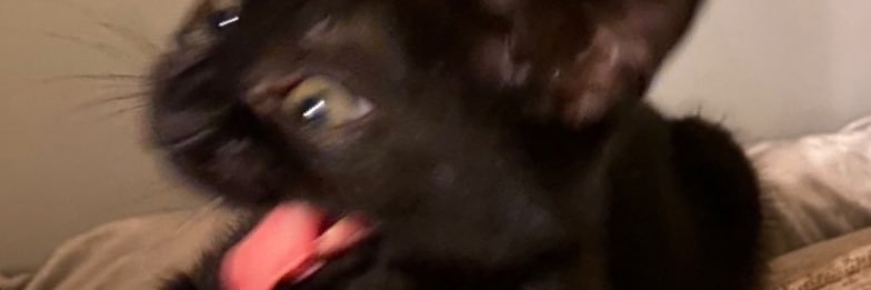 becca banner
