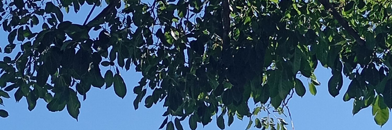Juli Ferrari 🤗💪🕵️‍♀️📷📺📻🎙📲💖 banner