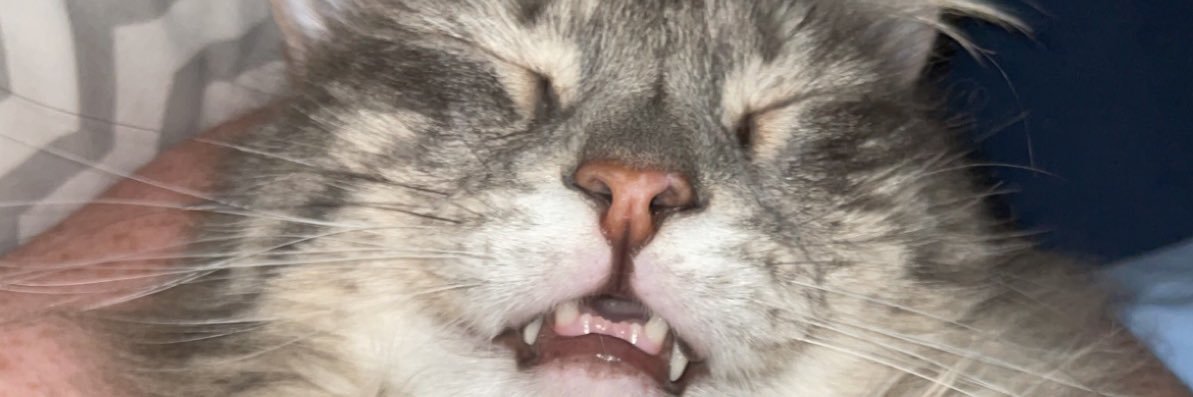 its_Maddyy's profile banner image