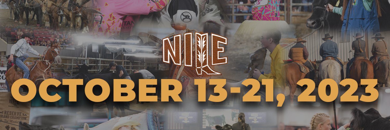 The_NILE's profile banner image
