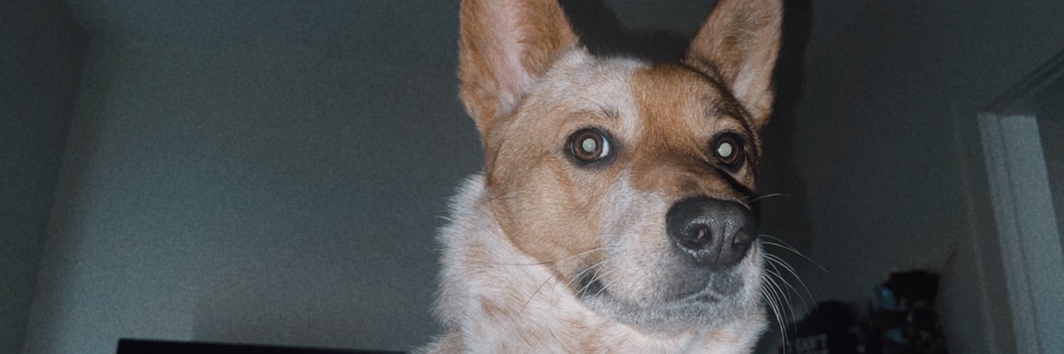 KenzieeeJean's profile banner image