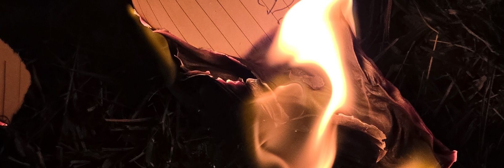 mariluizas's profile banner image