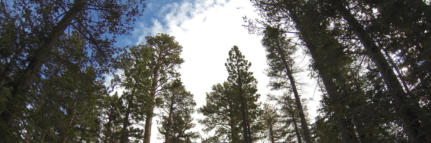 tgreathead's profile banner image