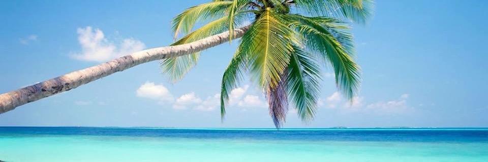 TuricunCancun's profile banner image