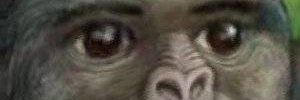 thuduke1's profile banner image